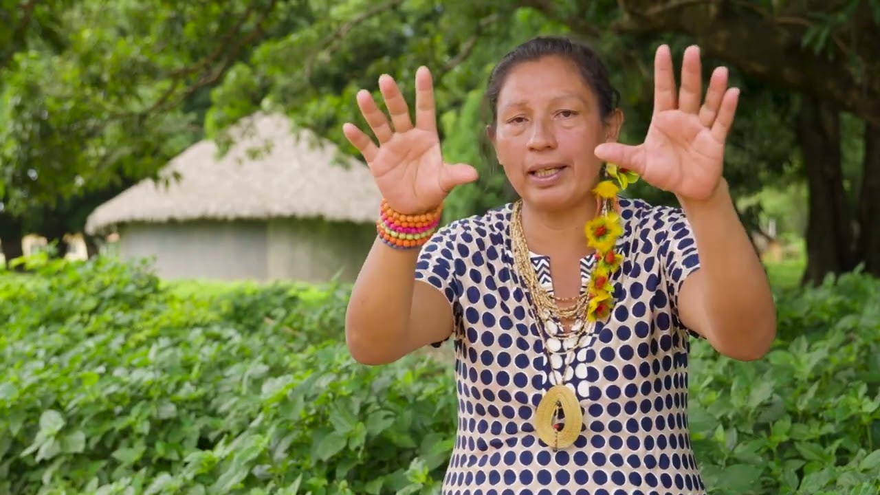 WEB SÉRIE MULHERES EMPREENDEDORAS DA AMAZÔNIA - ELIETE XERENTE E ELISETE XERENTE