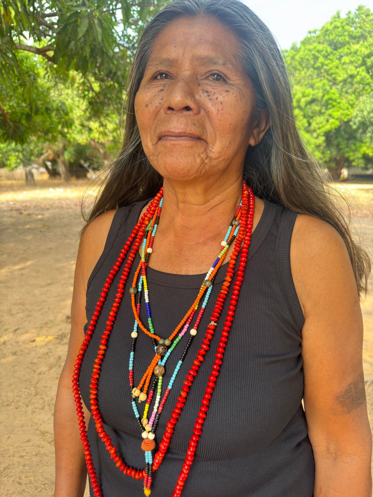 Imagem Gilda Hirêki Xerente